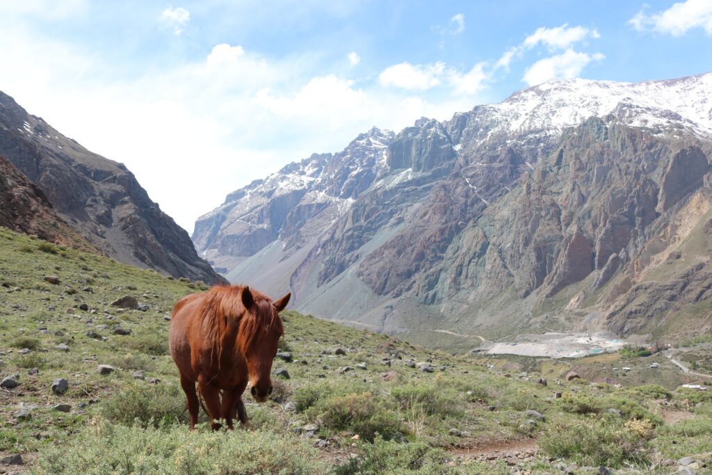 Top Activities to Experience in Cajon del Maipo