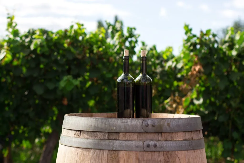 Discover the Best Wine Tours in Chile: Top 5 Wineries to Visit
